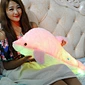 colorful luminous dolphin