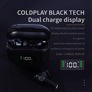 Drop Shipping Support 650mah Wireless Headset Earphones Ipx5 Ecouteur Waterproof Bt5.0 San Fil Earbuds