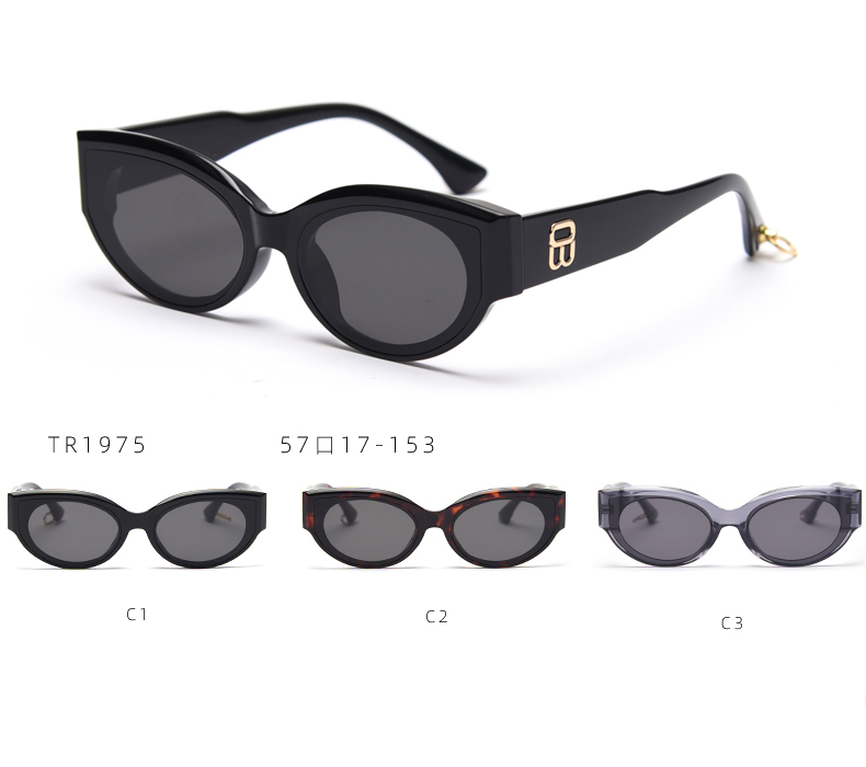 tr90 frame sunglasses, China