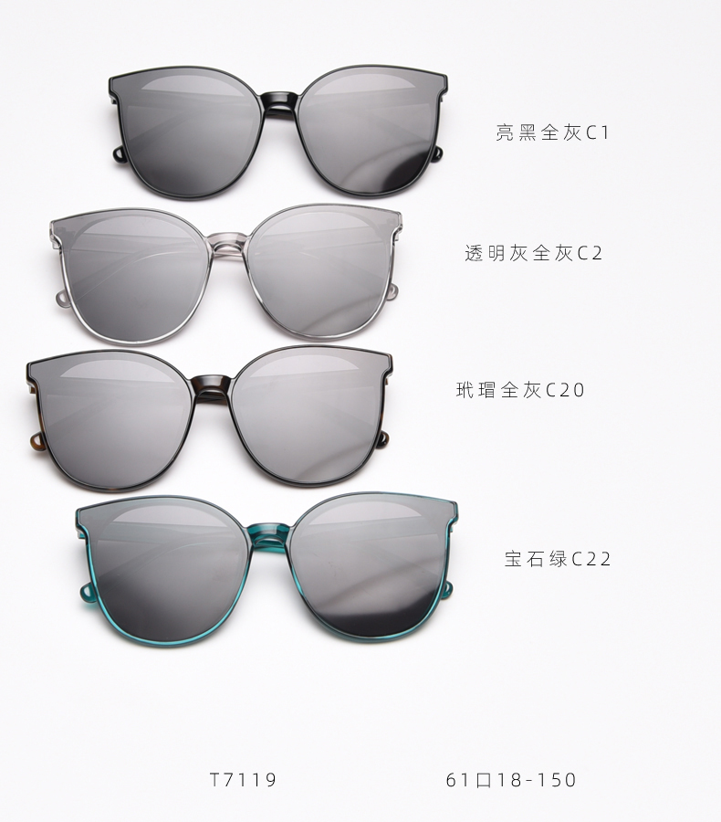 TR90 Polarized Big Frame Sunglasses