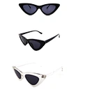 Ladies High-Quality Fashion Cat-eye Sunglasses