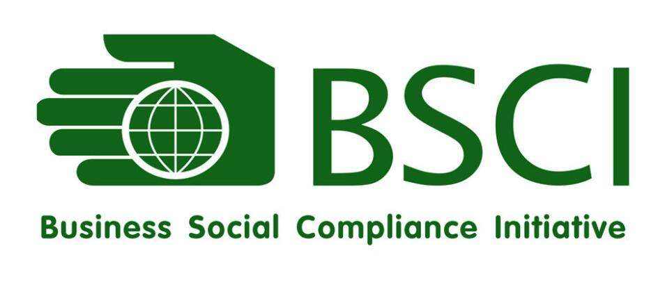 Company Audit Report