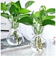 Murano Art Popular Tabletop Round Recycled Modern Machine Made Clear Terrarium Glass Decorative Vase For Plants