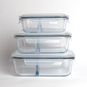 Newest Design Top Quality Portable lunch box with lid lock Storage Glass Food Container