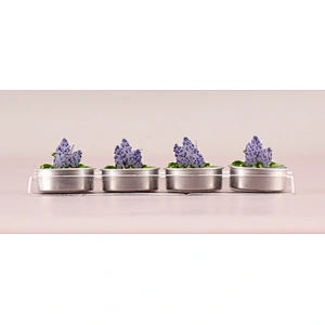 Lavender candle