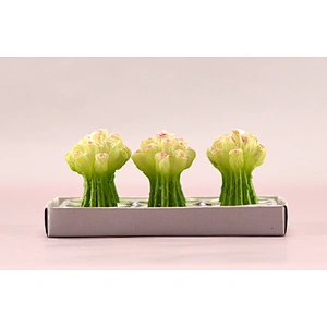 Flower candle