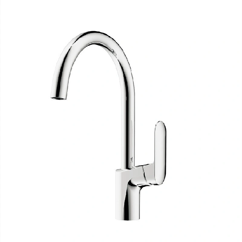 A20021 single handle brass kitchen faucet