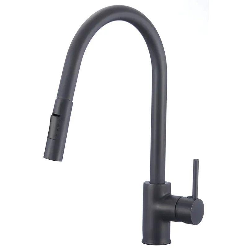 Kitchen mixer