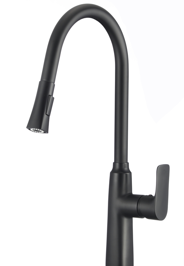 Kitchen mixer