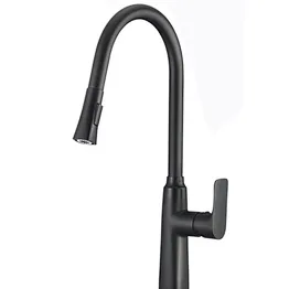 Kitchen mixer