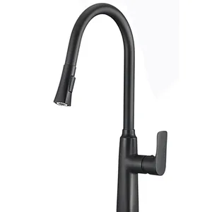 Kitchen mixer
