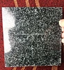 Polished Geanite