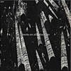 Morocco  Black Fossil Marble