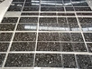 Brown Granite
