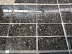 Brown Granite