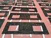 Brown Granite