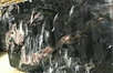 China Venice Black Marble
