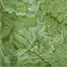 Jade Green Onyx Green Onyx Tiles