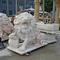 Wholesale Marble Stone Animal Lion Sculptures For Garden Use Sculpture Marble Lion Sculpture Animal Sculpture
