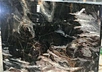 China Venice Black Marble Phantom Black Marble