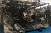 China Venice Black Marble