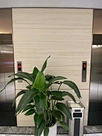 Limestone
