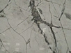 Iceberg  Marble Tiles