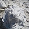 Animal Sculpture