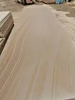 Sandstone Slab