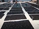 Angola Black
