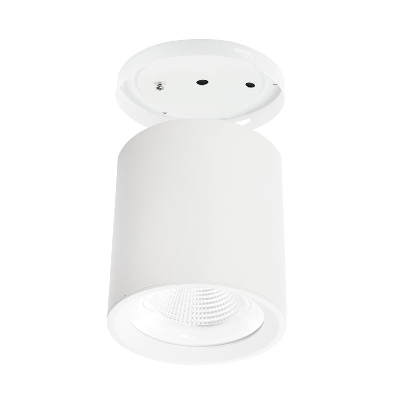 Surface mounted downlight