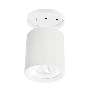 Surface mounted downlight