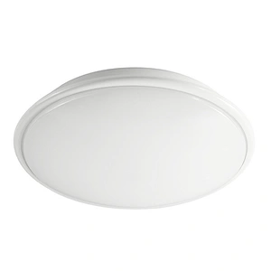 IP20 LED Ceiling Light, LED module easy to replace
