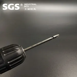 SGS 6.35mm Hexagonal stem series double cross tip cape head with strong magnetic S2 alloy steel screw head