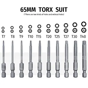 SGS Torx Bit Set Multifunctional Screwdriver Combination Hole Screwdriver Bit Screwdriver Bit ohmi Batch Nozzle S2