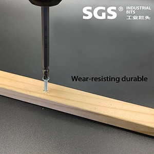 SGS 6.35mm Hexagonal stem series double cross tip cape head with strong magnetic S2 alloy steel screw head