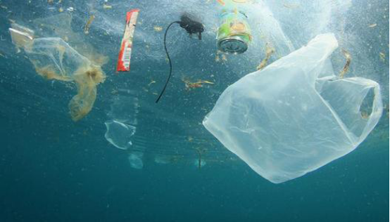 Why can Raman microscopy efficiently detect plastic pollution?