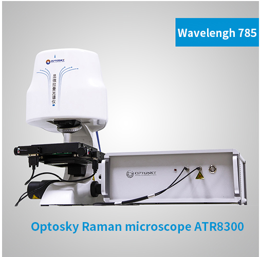How does Raman spectroscopy identify edible oil?