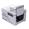 raman imaging mapping