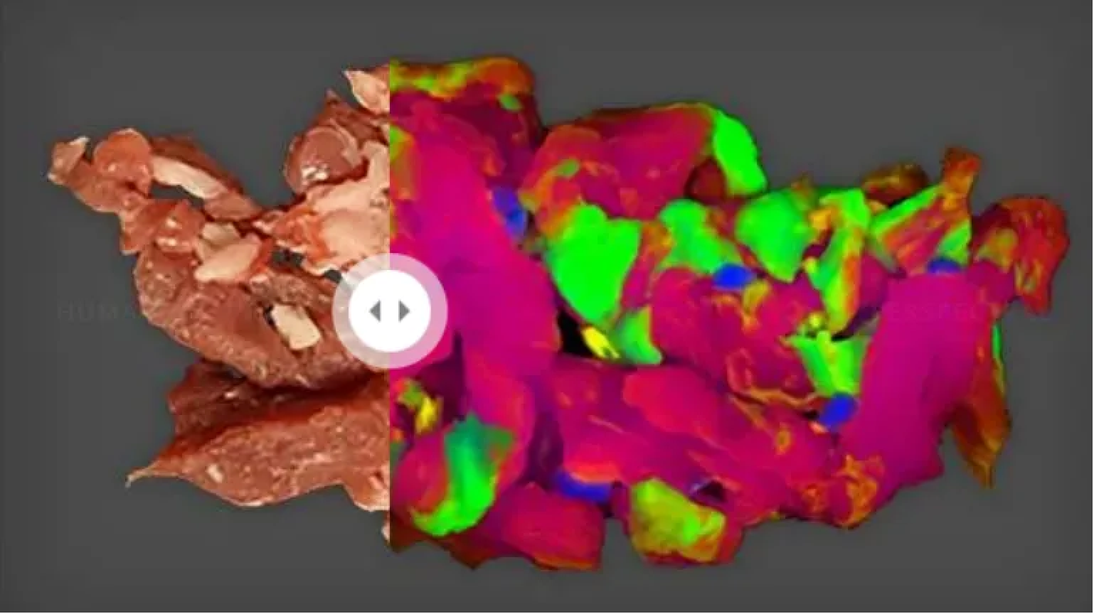 Using Hyperspectral Imager to Identifying Frozen Meals