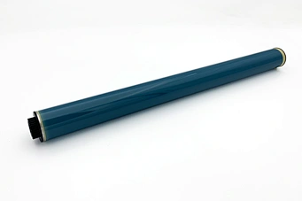 GPR31