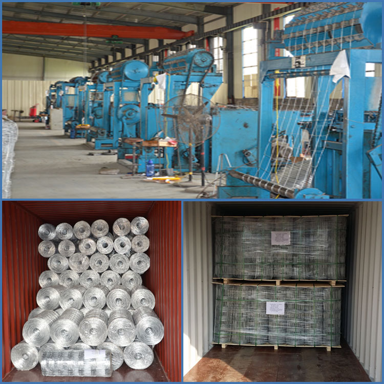 factory direct sale galvanized field fence