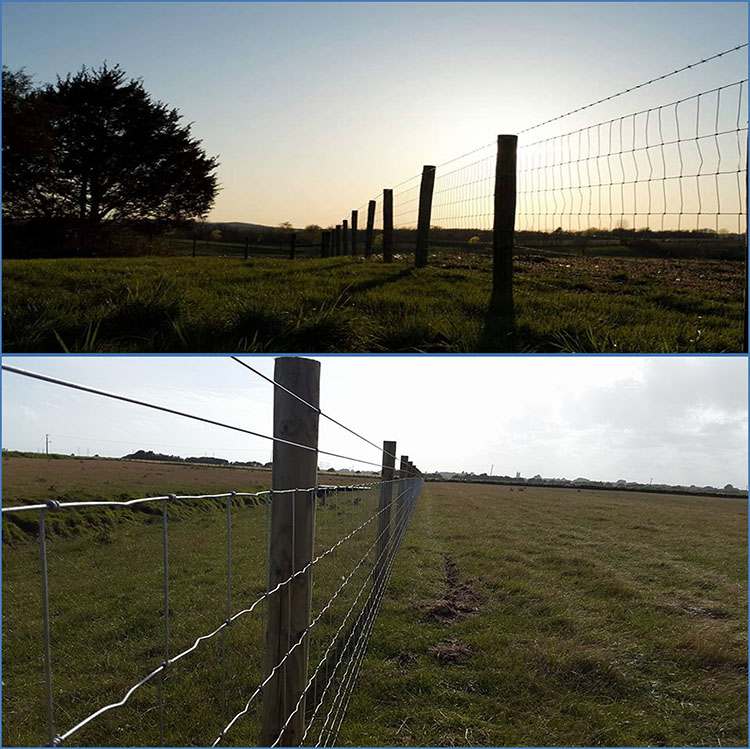 forestry fence