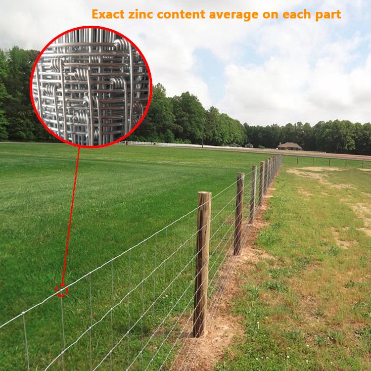 hot dip galvanized field fence