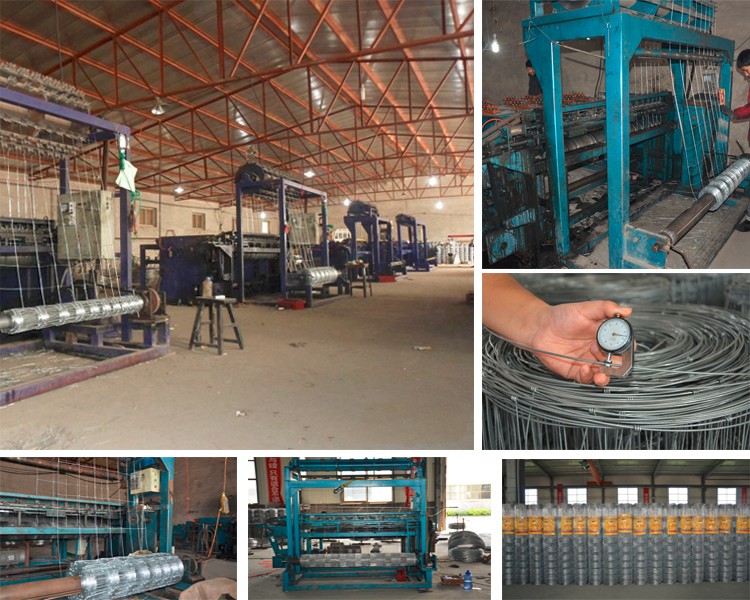 hot dip galvanized field fence
