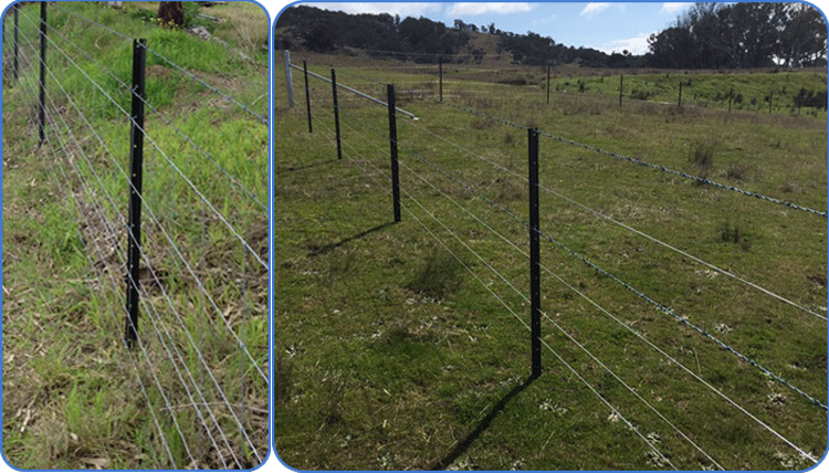 cattle fence post