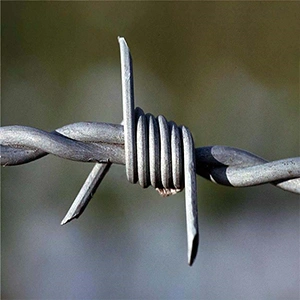 barbed Wire