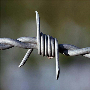 Galvanized Barbed Wire