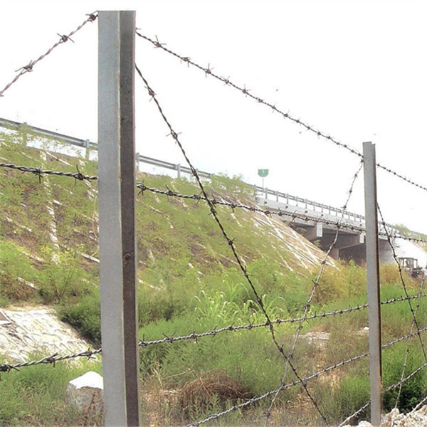 barbed wire 600 (1)