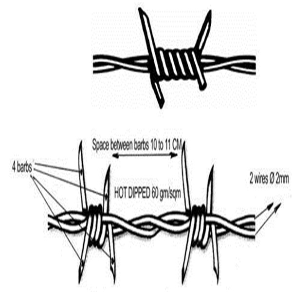 barbed wire 600 (3)